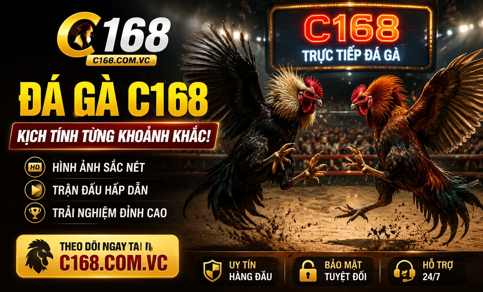 C168 trận live nổi bật 3
